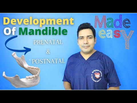 Development of Mandible | Prenatal and Postnatal | Growth of Mandible