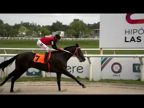 210305 c03 - SUR SUR - HIPODROMO LAS PIEDRAS