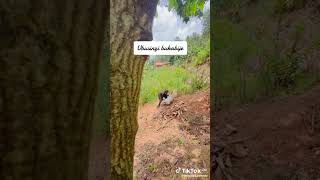 Download lagu #funny #comedy  ubusinzi bukabije mp3