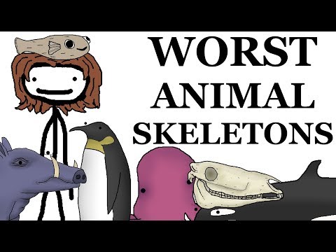 download lagu mp3 mp4 Animal Bones, download mp3 Animal Bones free download mp3, download mp3 Animal Bones