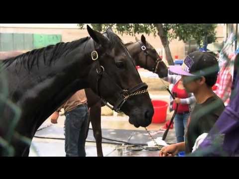 MARKETING MIX: Sunset Handicap