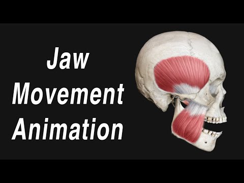 Anatomy of Jaw Motion - TMJ, Articular Disc, and Muscles