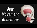 Anatomy of Jaw Motion - TMJ, Articular Disc, and Muscles