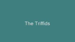 Triffids