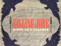 Killing Joke - Birds of a feather