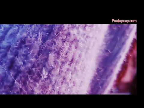 I wanna know what love is (Foreigner) - Paula P'Cay live