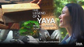 The Legend of YAYA | EP2. จากอักษรล้านนาในใบลาน สู่ข้อมูลเข้ารหัสในดิจิทัลไฟล์