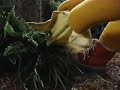 Outdoor Fun 2003 Version Part 32