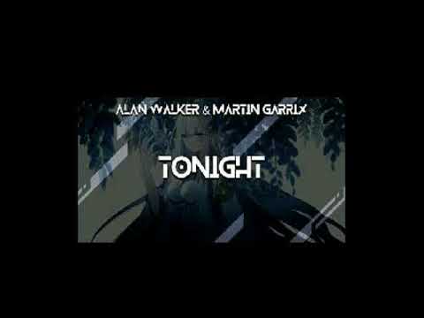 Alan Walker e Martin Garrix _ Tonight