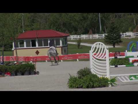 Video of Climbus ridden by Nick Novak from ShowNet!