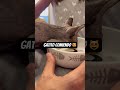 Как едят сфинксы #кошки#сфинксы #сфинкс #gata #gatitos #sphynx #sphynxcats