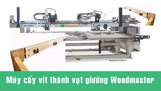 Máy cấy vít thành vạt giường 2 đầu cấy tự động | Woodmaster WM-2200SI