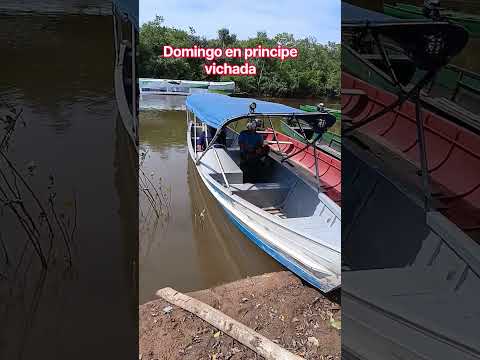 ¡Domingo En Puerto Príncipe Vichada!🚤 #principevichada# #campo #botesdecarga #pesca #domingo#viral