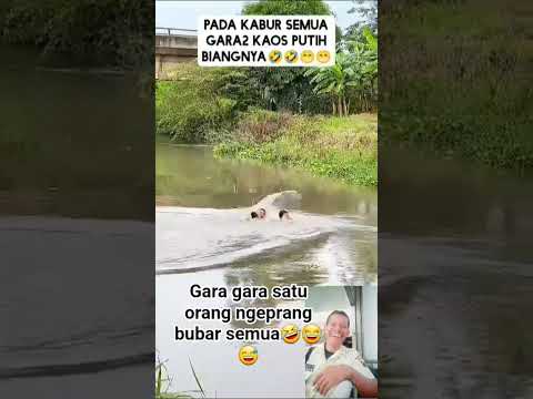 #di prang lari tunggang langgeng sampai nyebur sungai🤣😂😅 #hiburanlucu #shorts