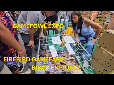 Napabili sa Firebird Gamefarm - 5K Sweaters Gamefowl Expo