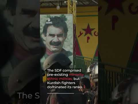 Who were the Syrian Democratic Forces and why dissolve? | AJ #shorts