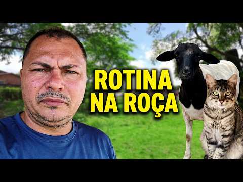DIA DE PAZ NA CHÁCARA EM FERREIROS PERNAMBUCO