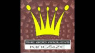 Put Your Arms Around me And Tell Me Everything's Going To Be Fine - The Boo Radleys