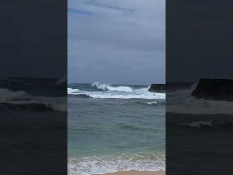 On the Beach of Gris Gris Mauritius