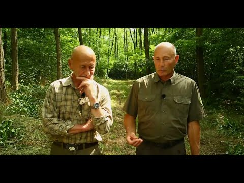 Reviczkyvel az Erdőben – IV. évad - 11/12. – A Nyírség aranya: az akác