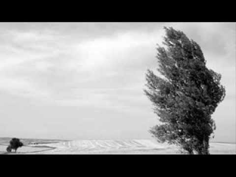 Giulio Briccialdi (1818-1881) "Il Vento" op.112 for flute and piano- Carmen Caballero