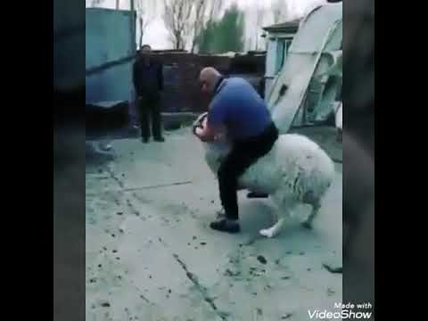Funny