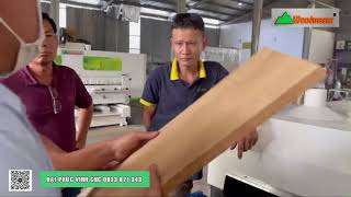 Máy Cào Vân Gỗ Gải Cổ Ván Veneer WM-10004G