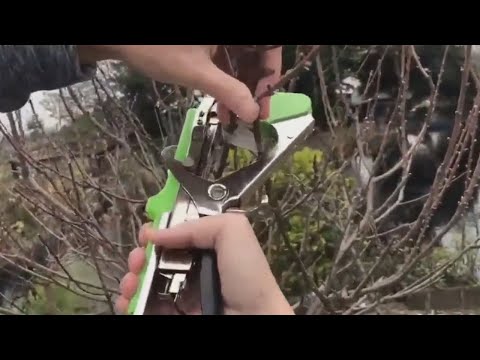 Садовый степлер для подвязки растений огурцов винограда помидор 10000 скоб и ленты 5 шт подвязчик овощей - фото 1 - id-p2111688056