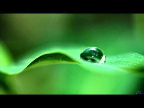 Hot Noizes - Deja Vu (Dub Mix)