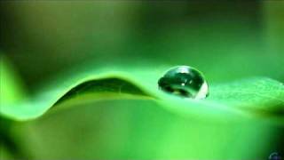 Hot Noizes - Deja Vu (Dub Mix)