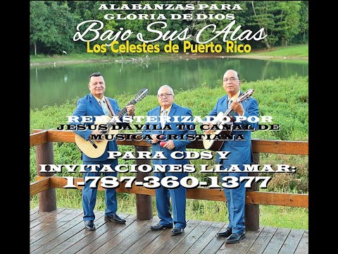 LOS CELESTES DE PUERTO RICO (BAJO SUS ALAS) CD COMPLETO 2021