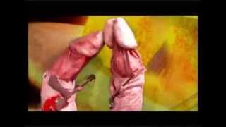 FRANK ZAPPA -- WHY DOES IT HURT WHEN I PEE?