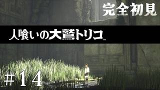 【初見プレイ】目が覚めたら大きなワシがいた Part.14【人喰いの大鷲トリコ/ネタバレ注意】