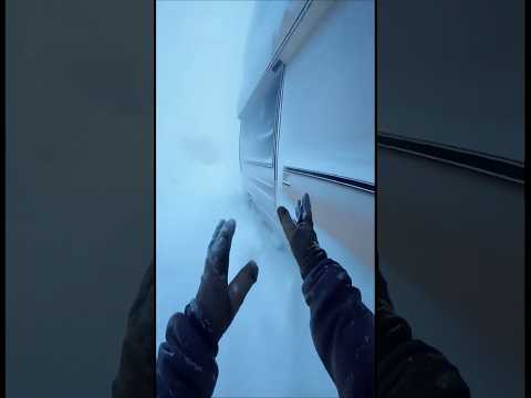 Let me in! It's freezing out here!