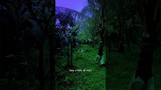 Download lagu Tunggu aku di surga mp3