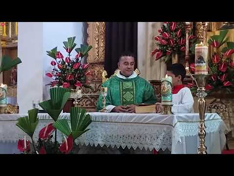 🔴 EN VIVO | Santa eucaristia desde la Iglesia Nuestra Señora del Rosario de Río de Oro, Cesar 🙏⛪