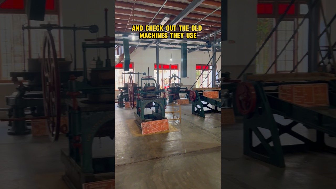 YouTube Short thumbnail