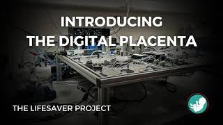 Introducing the Digital Placenta: The LifeSaver Project