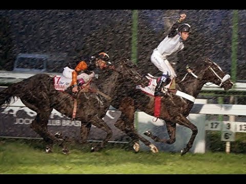 GP Diana -  Stud TNT (G1) 2012 -  Sutil