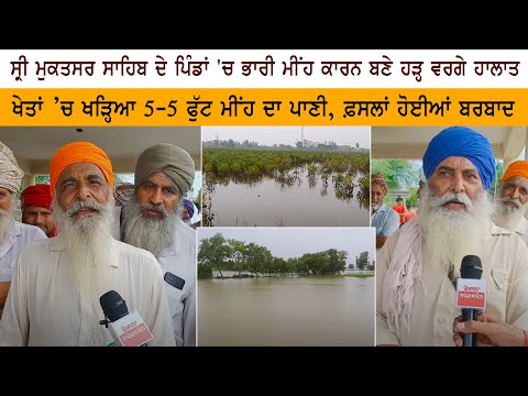 Heavy rain in Pind of Sri Muktsar Sahib led to flood-like conditions - 5-5 feet of rainwater standing in the fields