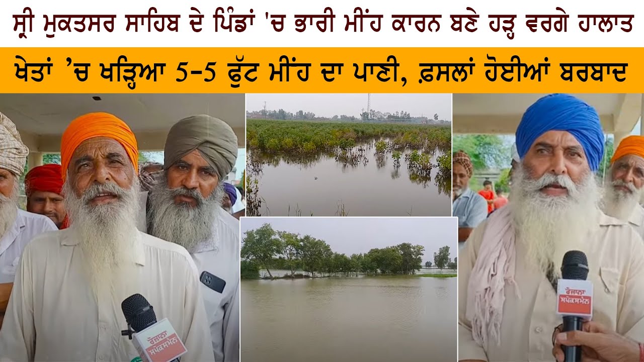 Heavy rain in Pind of Sri Muktsar Sahib led to flood-like conditions - 5-5 feet of rainwater standing in the fields Heavy rain in Pind of Sri Muktsar Sahib led to flood-like conditions - 5-5 feet of rainwater standing in the fields