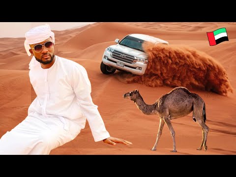 Dubai Desert Safari - Is it Worth the Hype? -  (Carmel Ride, Belly Dancers, Buffet)