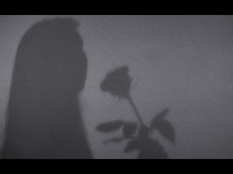 Wasted strings - WASTED STRINGS - KILLER (Official Music Video)