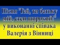 Пісня "Гей, ти батьку мій, степ широкий!" у виконанні співака Валерія з Вінниці ...