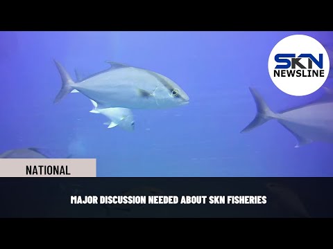 MAJOR DISCUSSION NEEDED ABOUT SKN FISHERIES