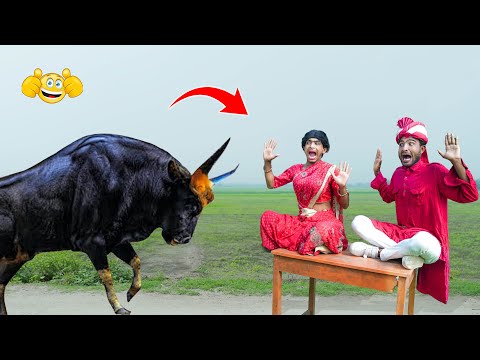 Must Watch New Special Comedy Video 2025 😎Totally Amazing Comedy 2026  Episode 729 By Bidik Fun Tv