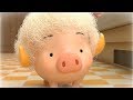 Oink Oink(돼룩돼룩) Ep.1-청강졸업작품(Chungkang Animation)