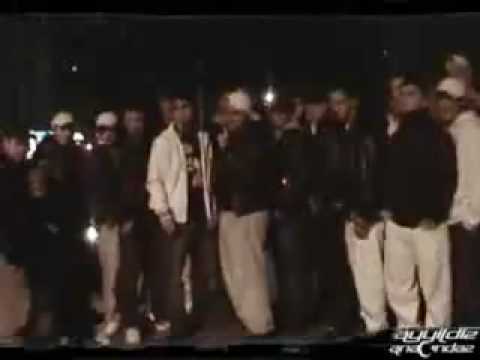 AyYildiz Records ft Anacondaz_ Wedding 65.mp4