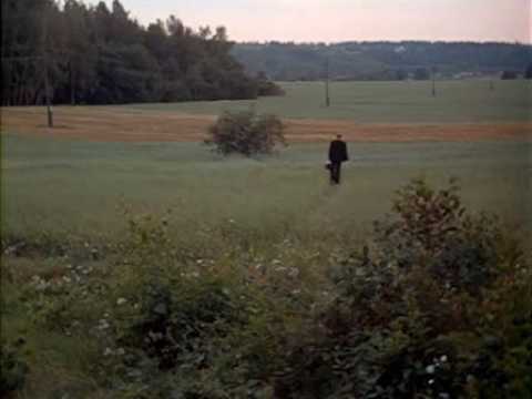 Tarkovsky's Mirror - wind scene