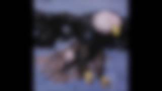 Aquarius - Gatekeeper